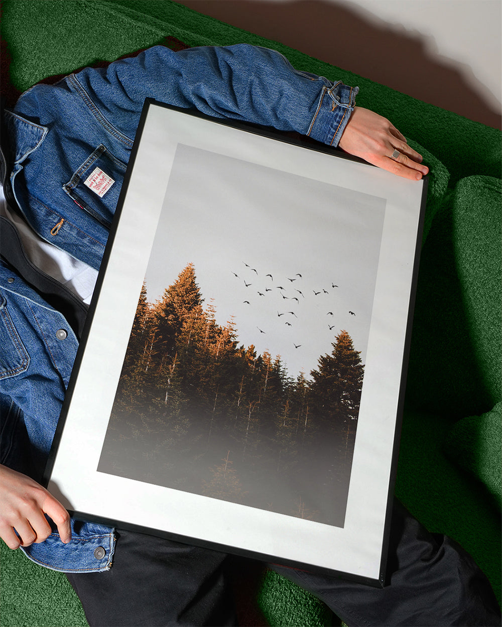 Birds above the forest