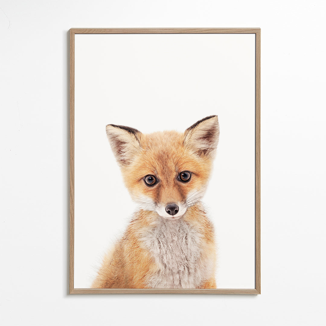 Baby Fox