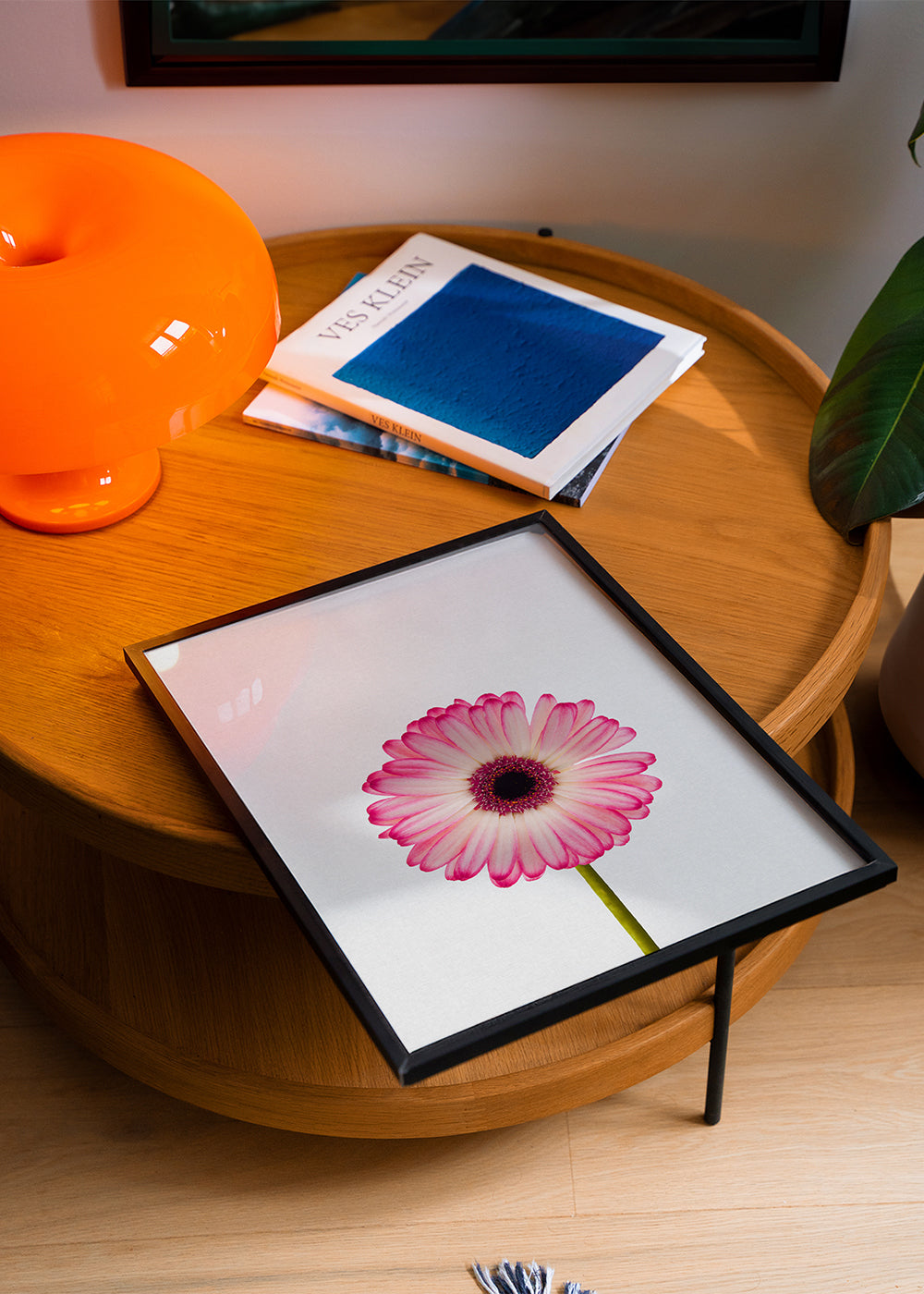 Daisy still life
