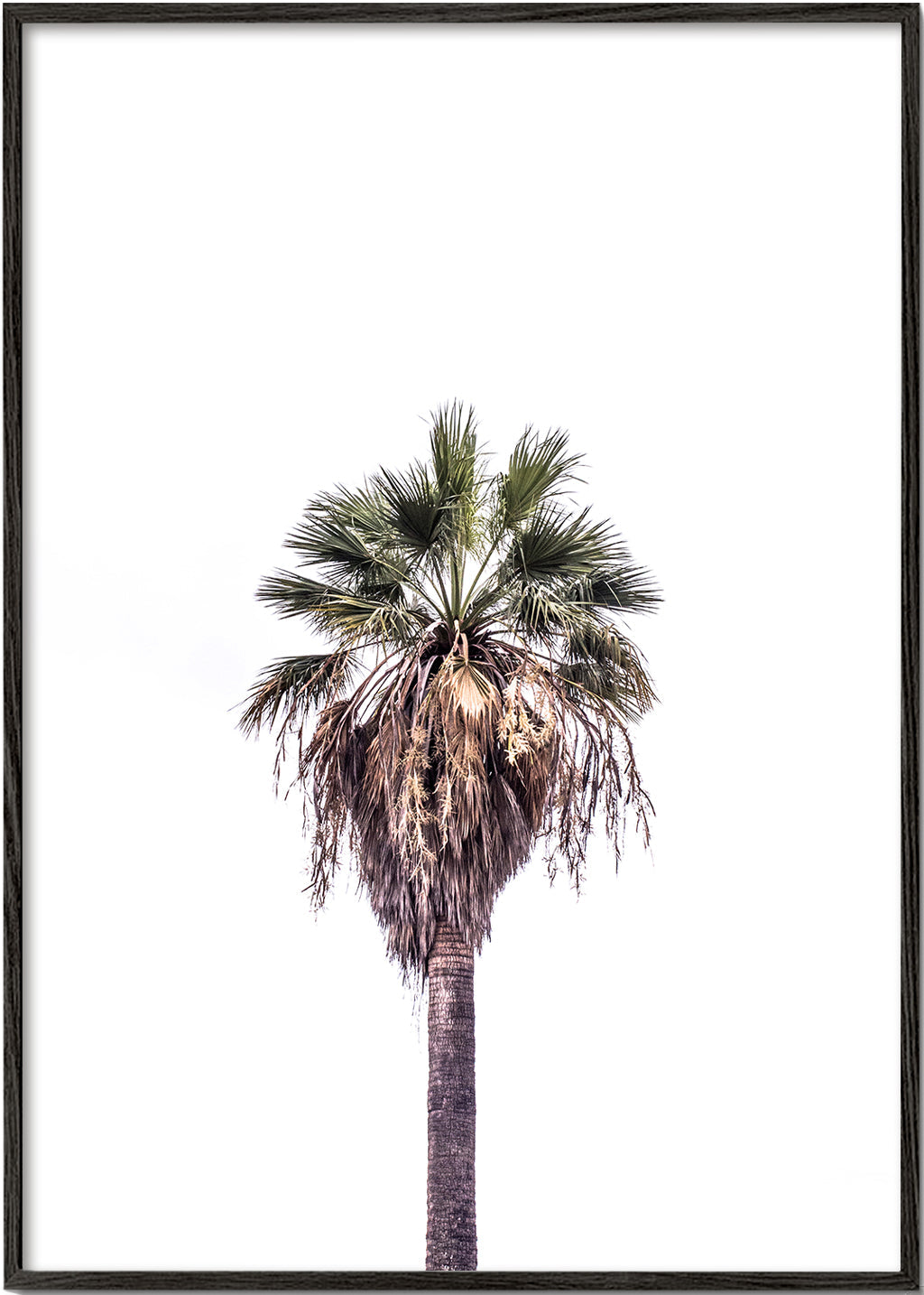 Palm beach 2
