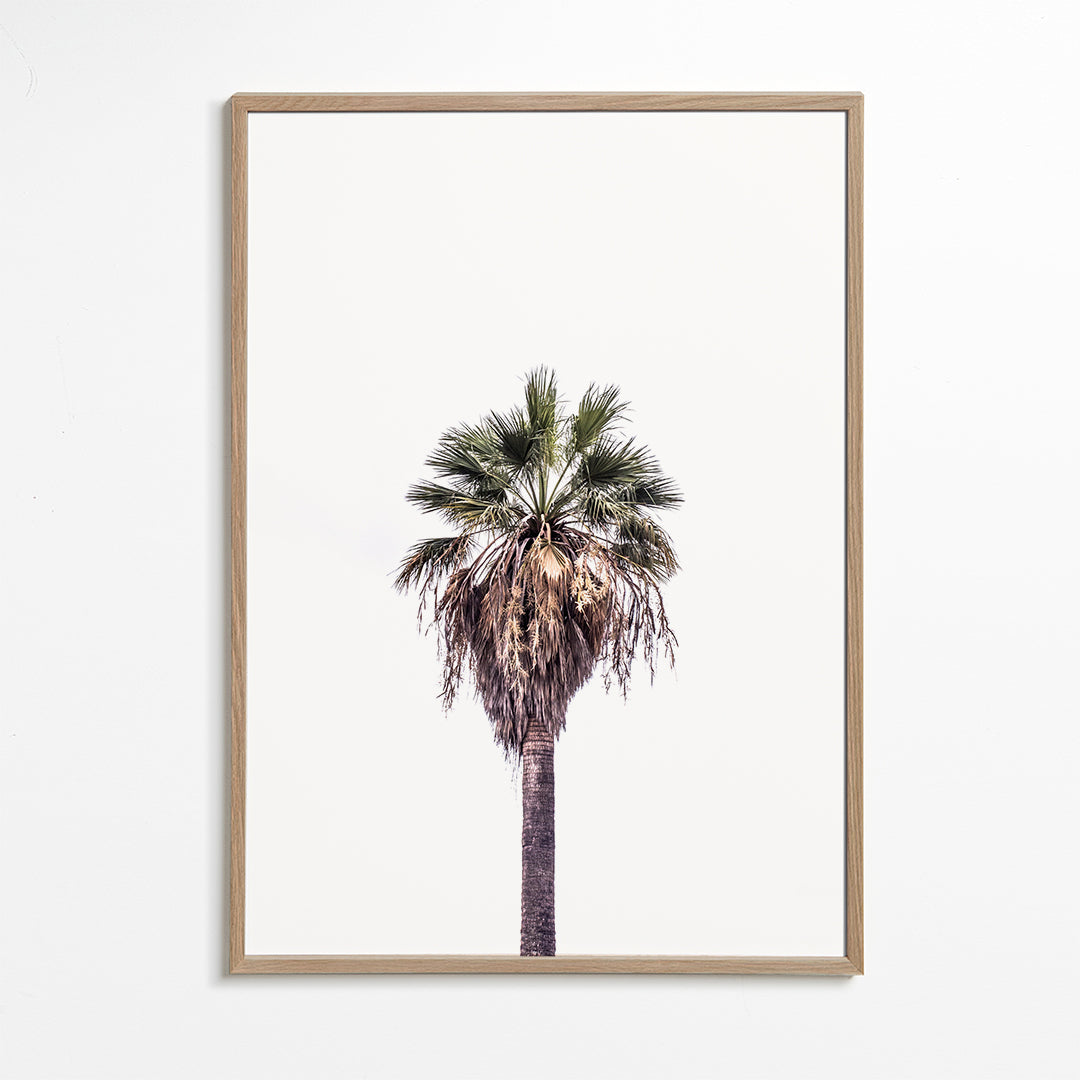Palm beach 2