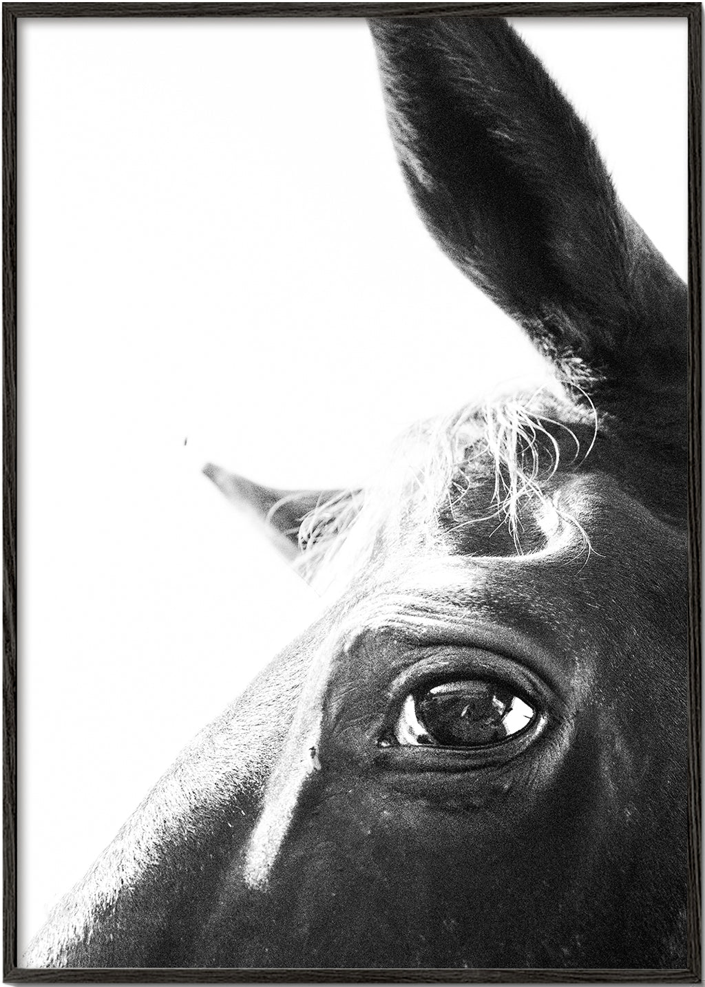 Eye of the beholder 2