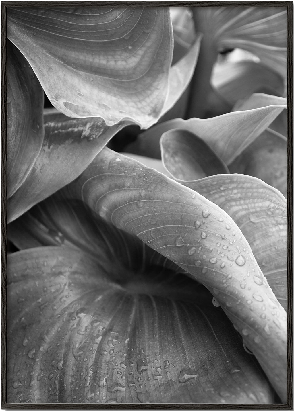 After the rain 2