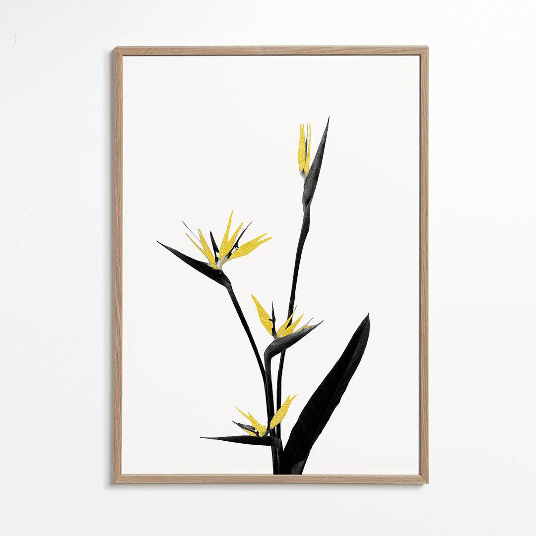 Flower Minimal Black and Gold 05
