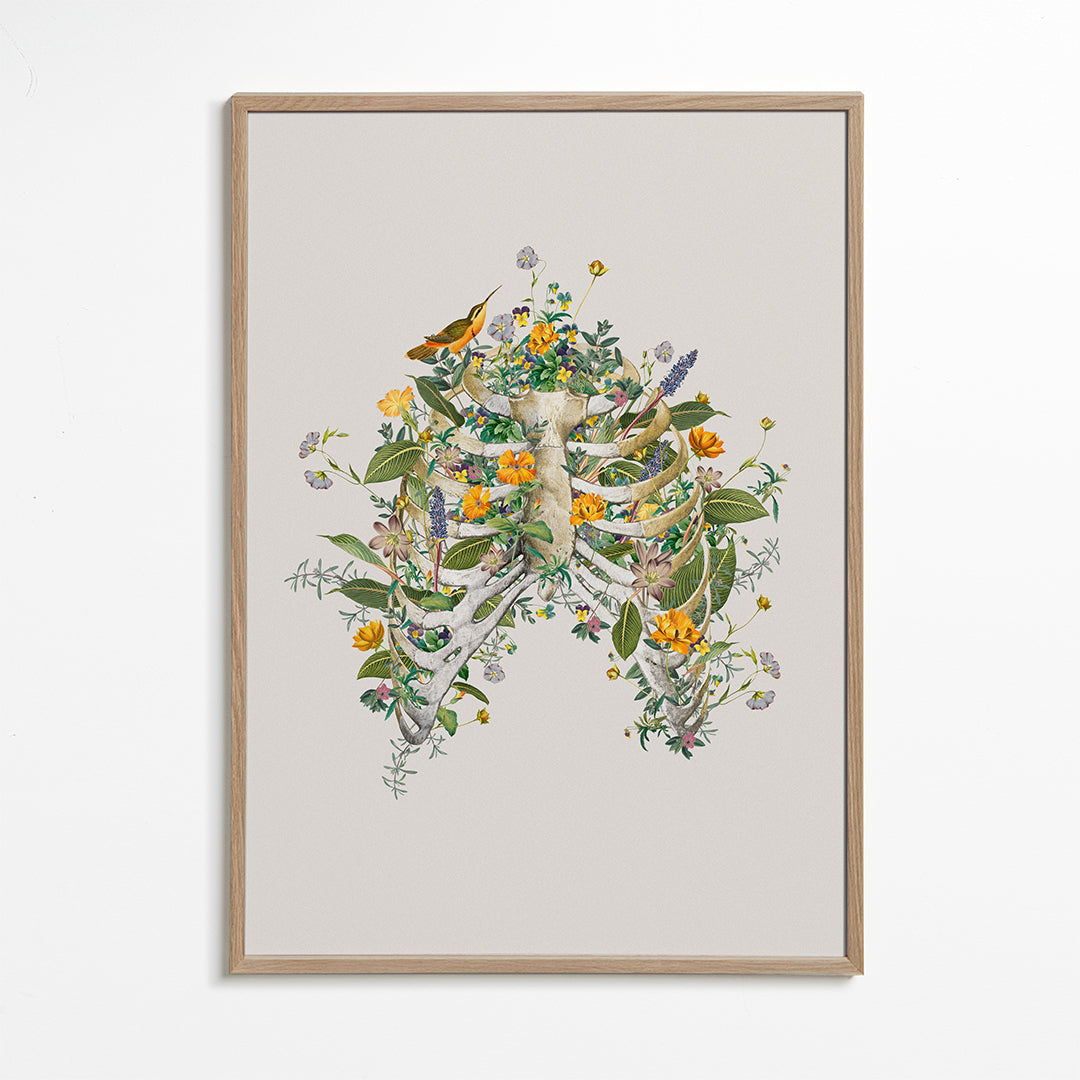Floral thorax