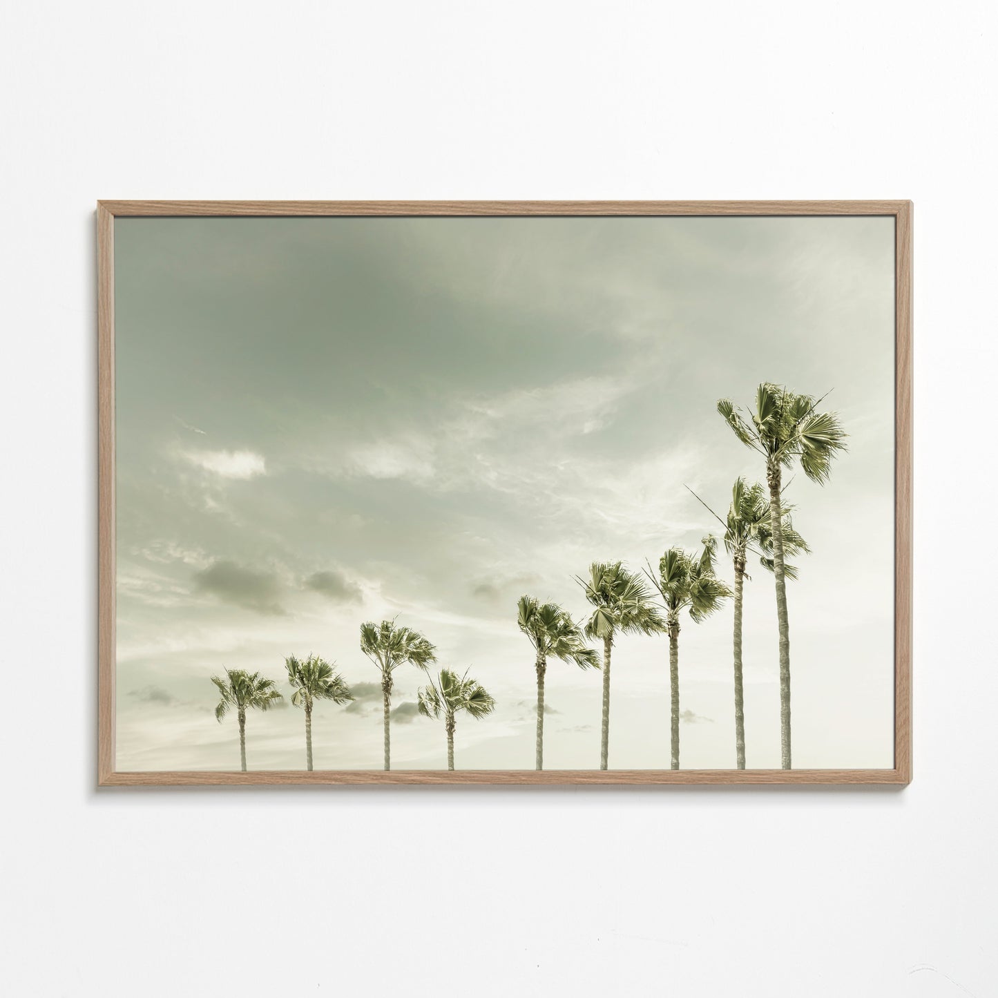 Vintage Coastal Palm Trees