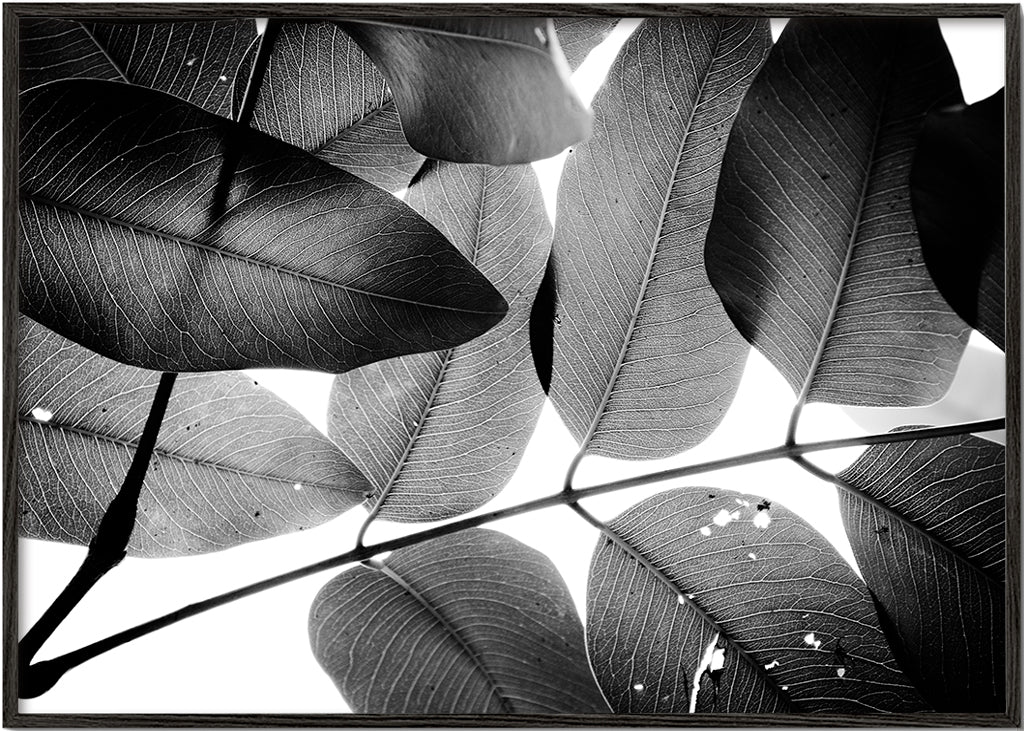 Branches and Leaves, 2016, 3