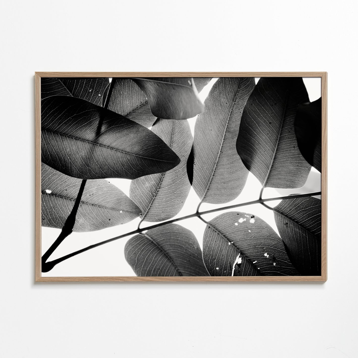 Branches and Leaves, 2016, 3