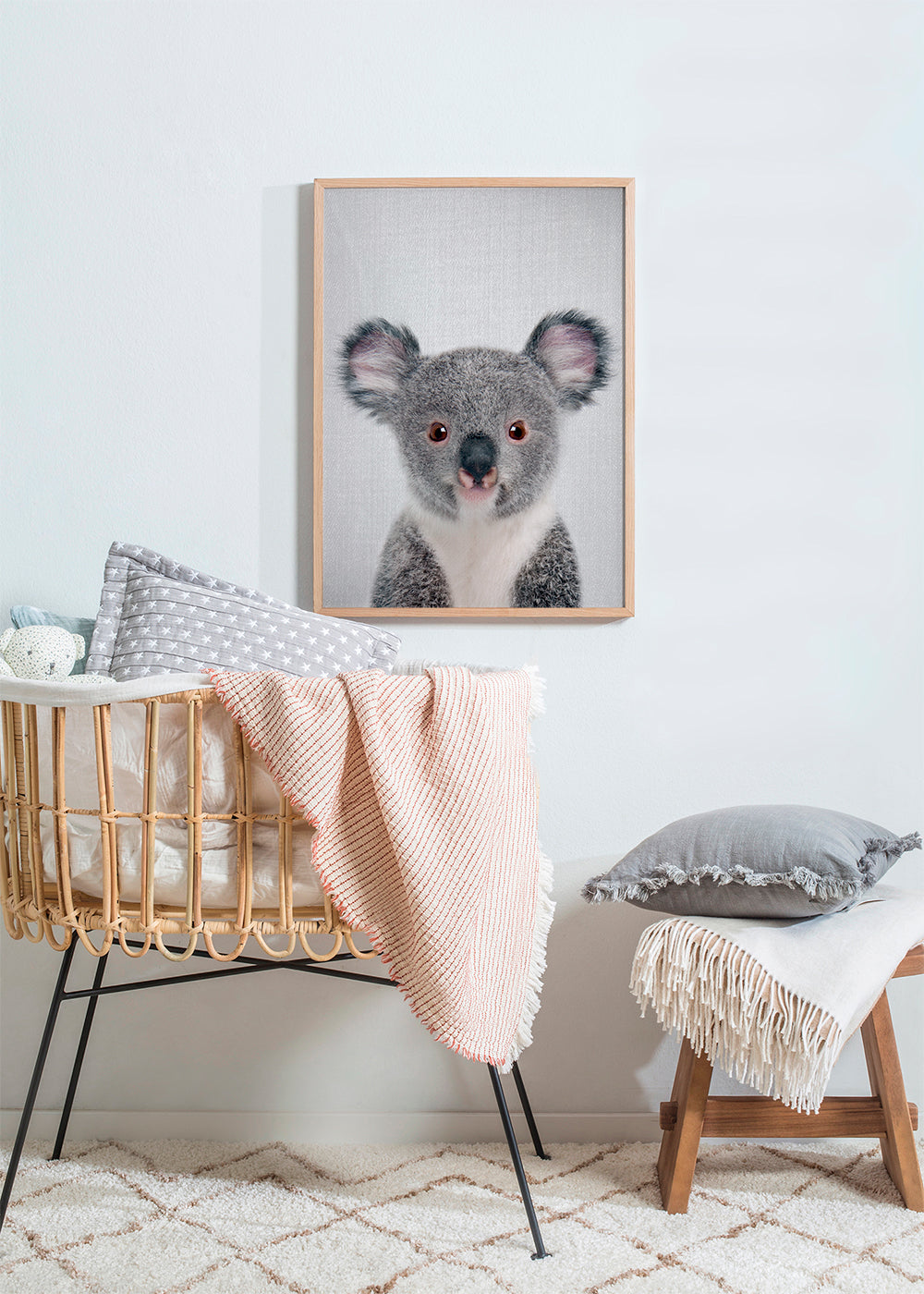 Baby Koala