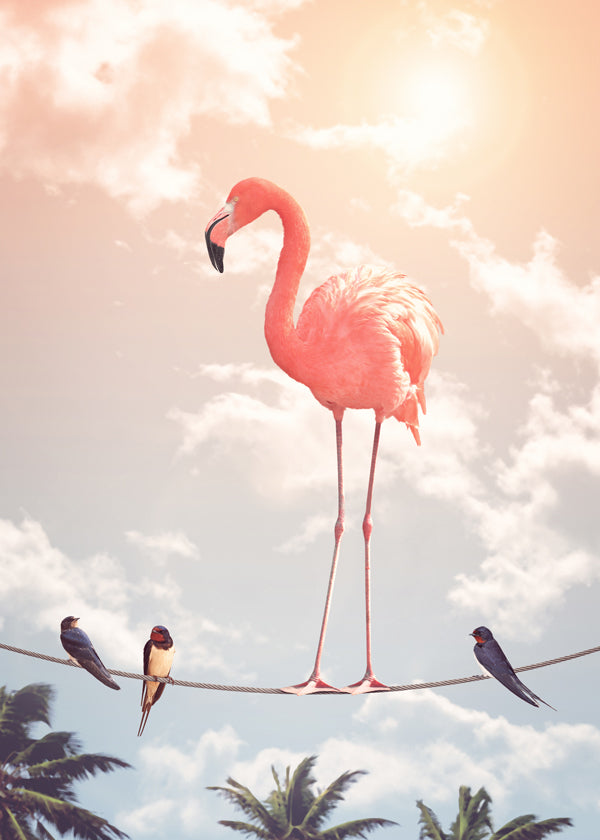 Flamingo & Friends