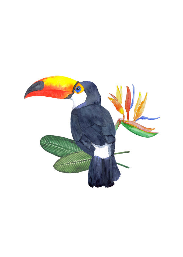 Tropical Toucan Bird