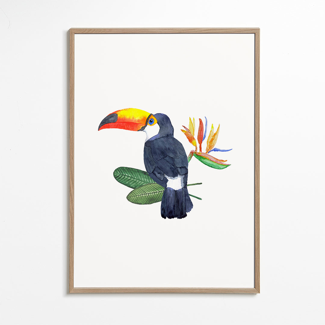 Tropical Toucan Bird