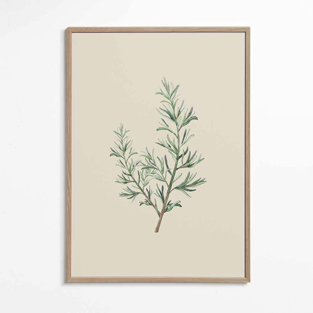 Rosemary Branch Beige