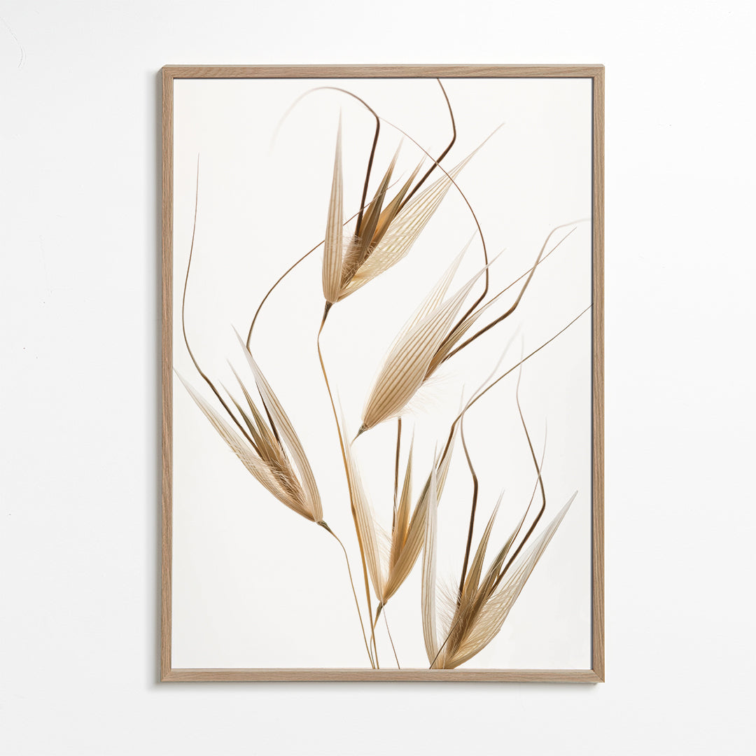 Delicacy of nature - Thierry Lagandré (Transgressed