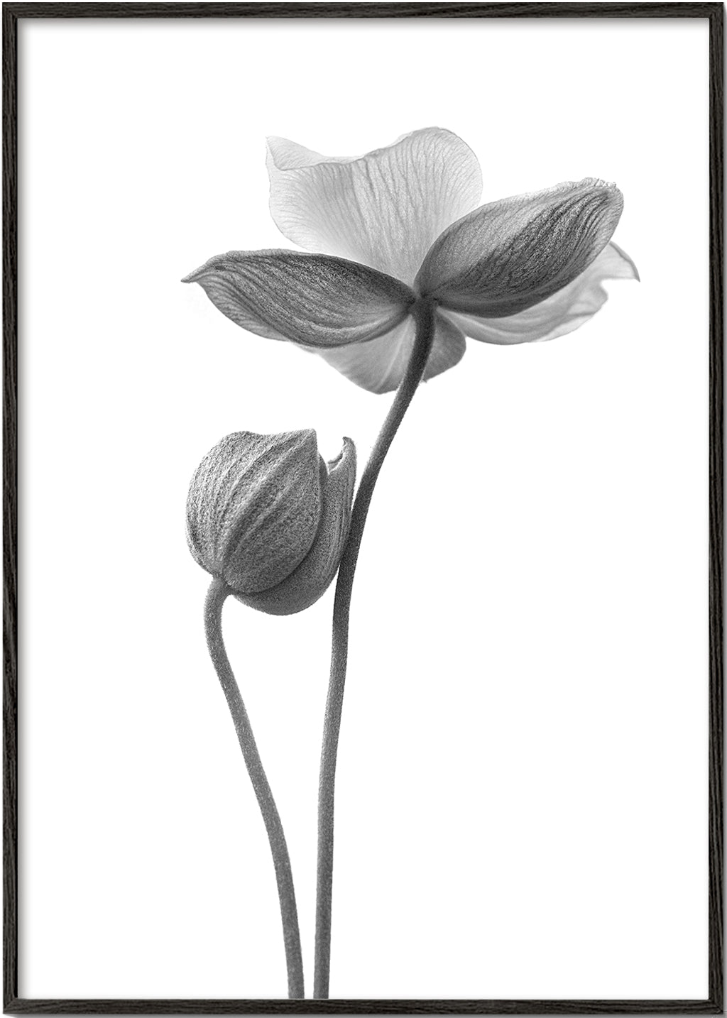 A little touch monochrome - Lotte Grønkjær