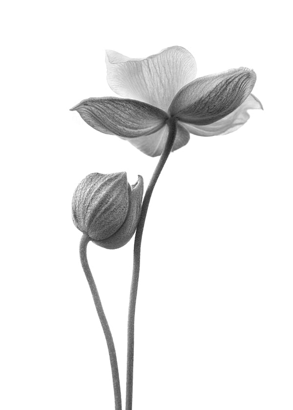 A little touch monochrome - Lotte Grønkjær