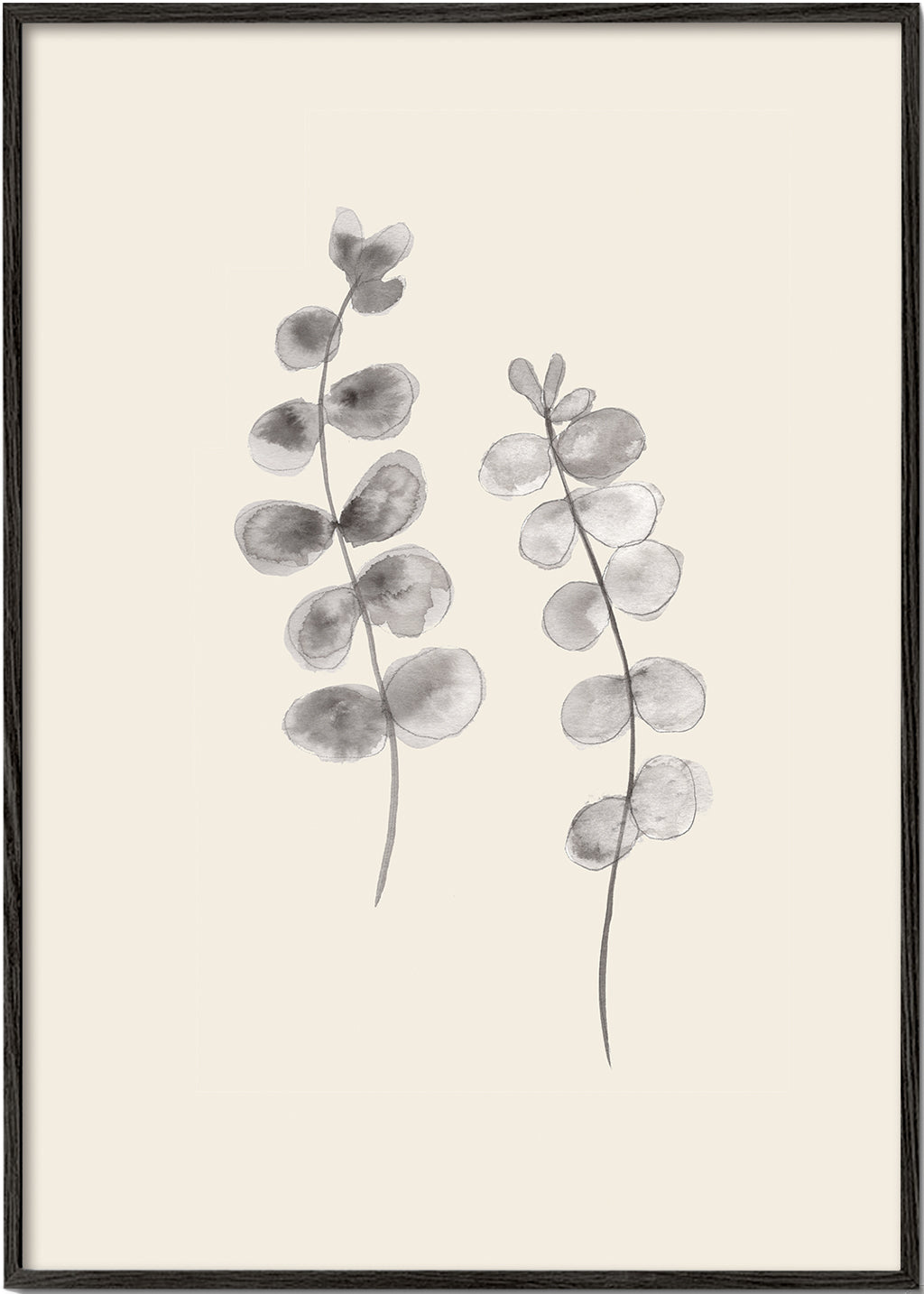 Eucalyptus Twigs - 1x Studio