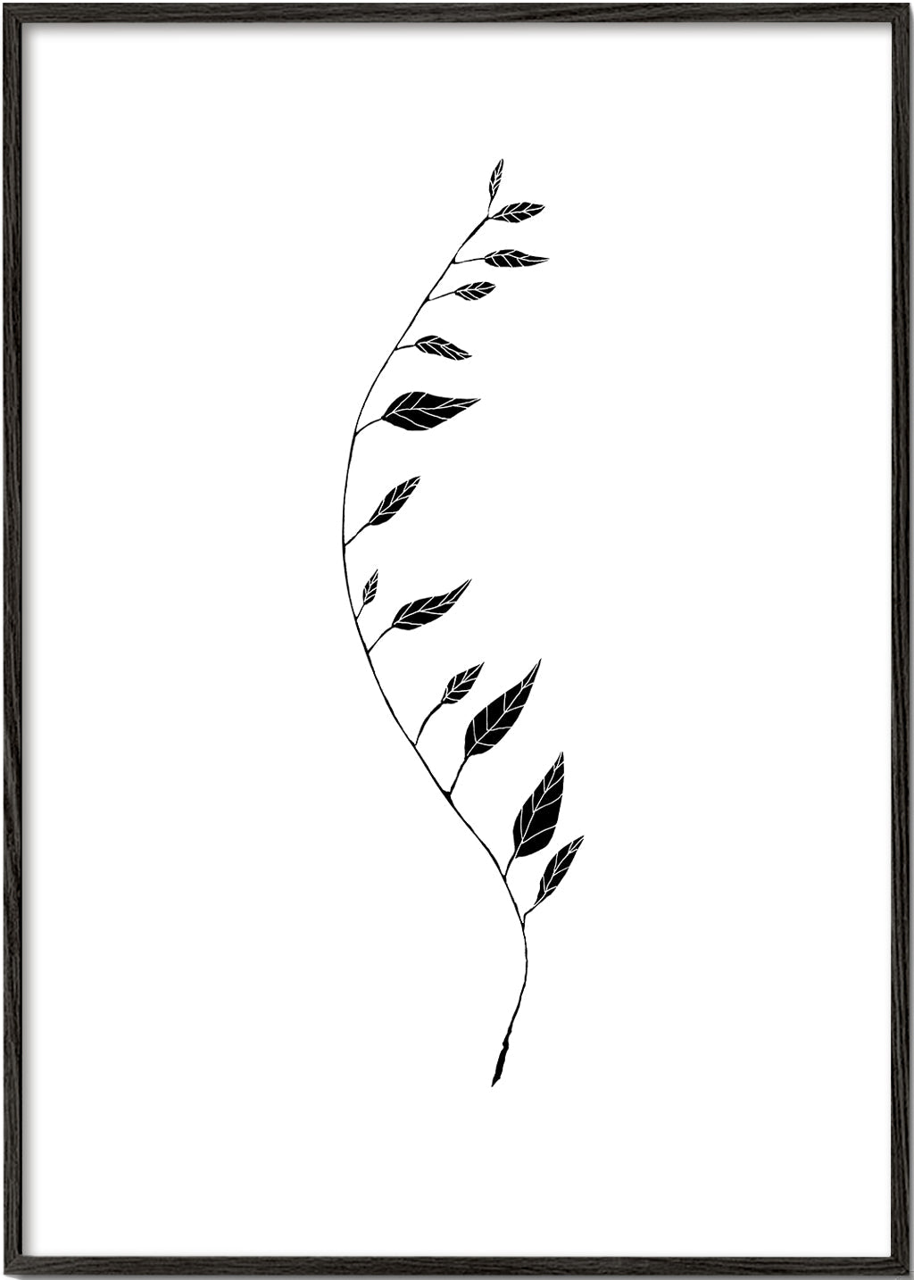 Black Leaf - 1x Studio II