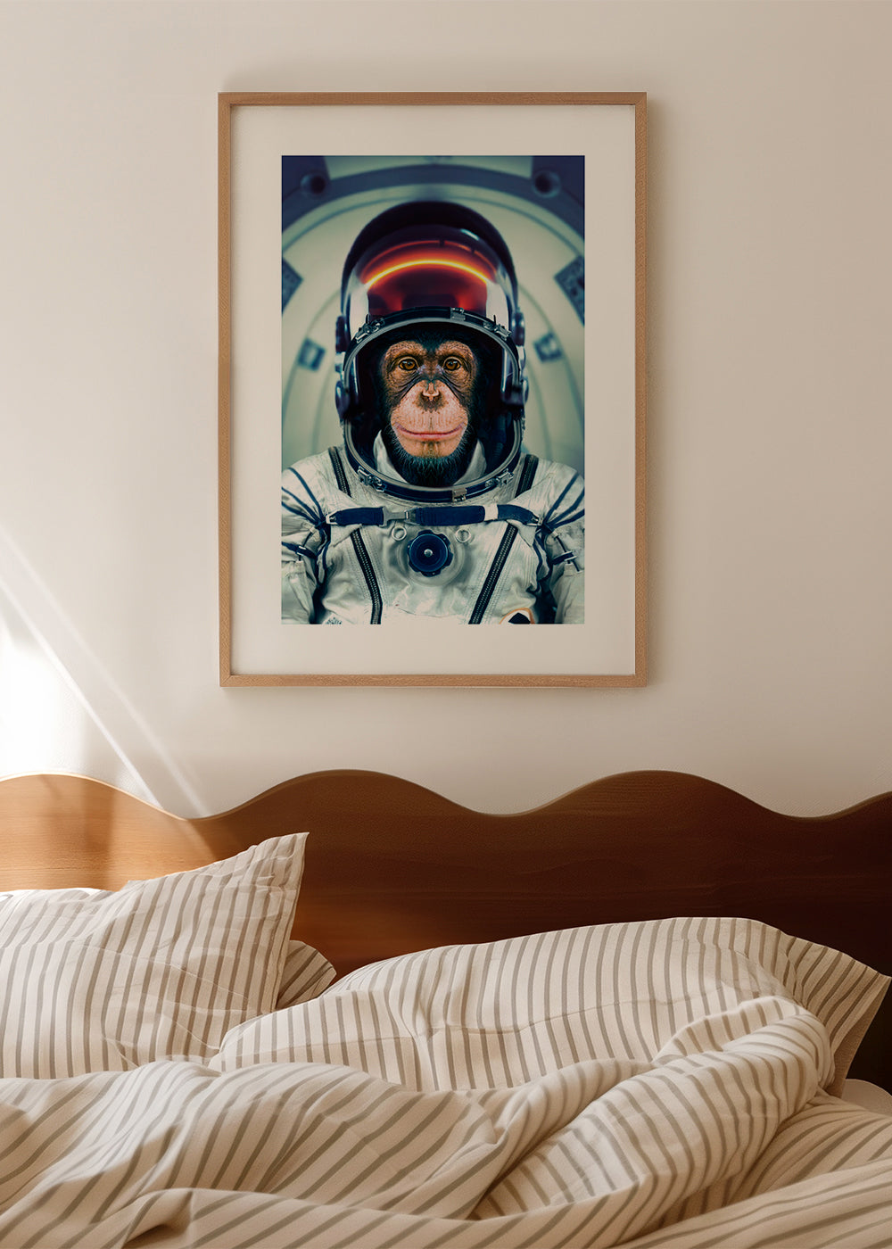 AstroMonkey - Marcel Egger