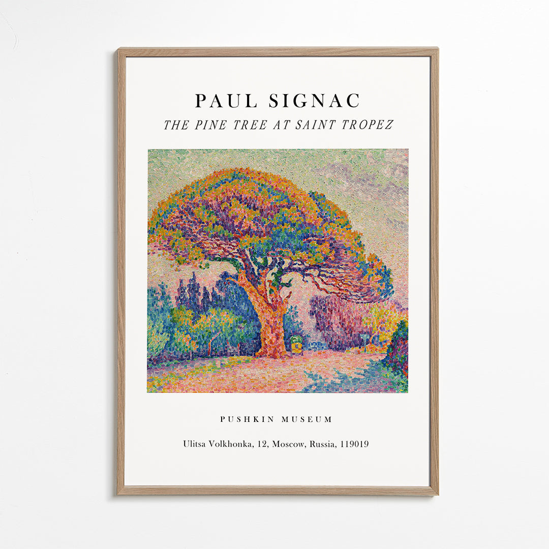 The Pine Tree at Saint Tropez Exhibition White - Paul Signac