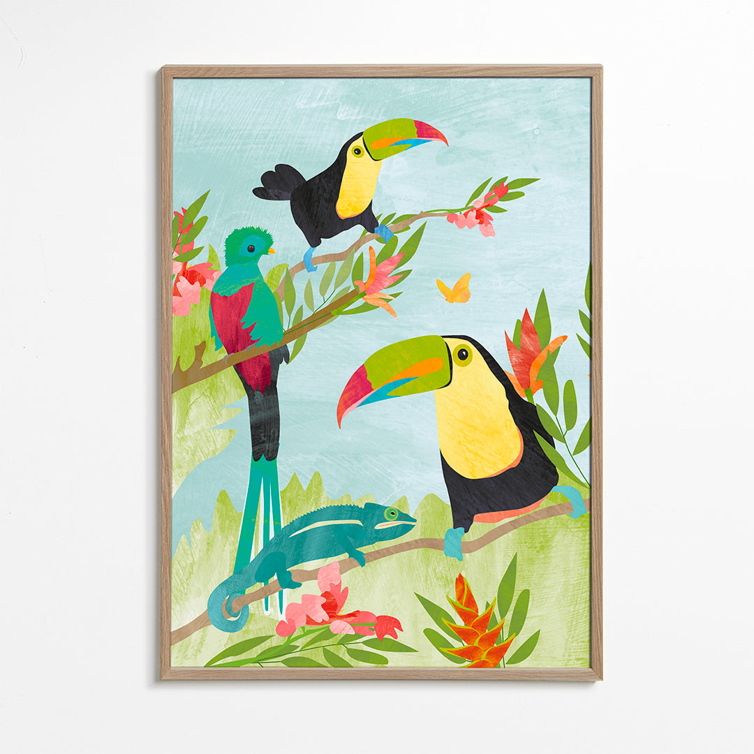 Tucan birds jungle
