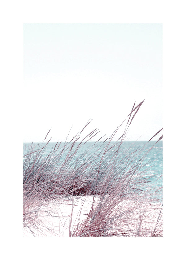 Seaside