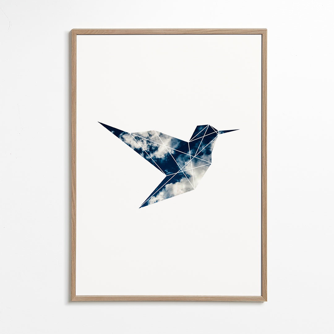 Sky hummingbird