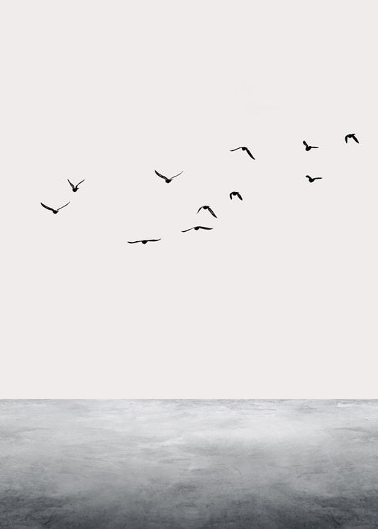 The ocean