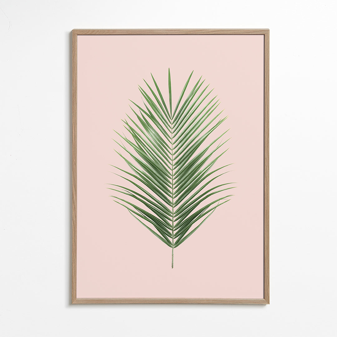 Blush tropical I
