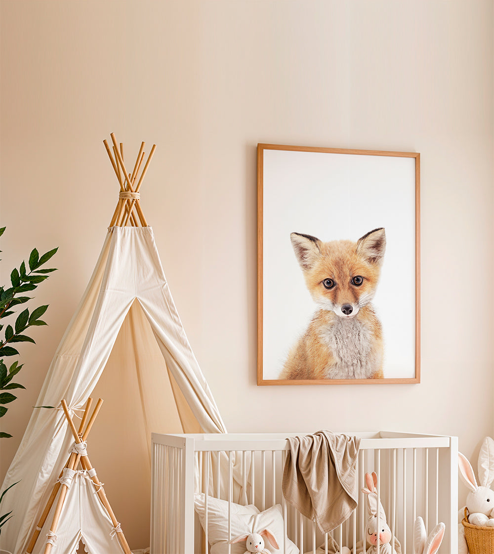 Baby Fox