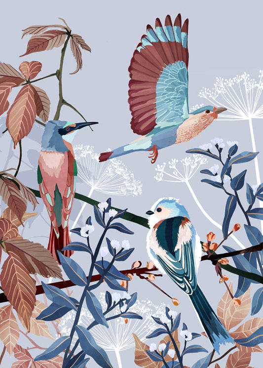 Birds of winter