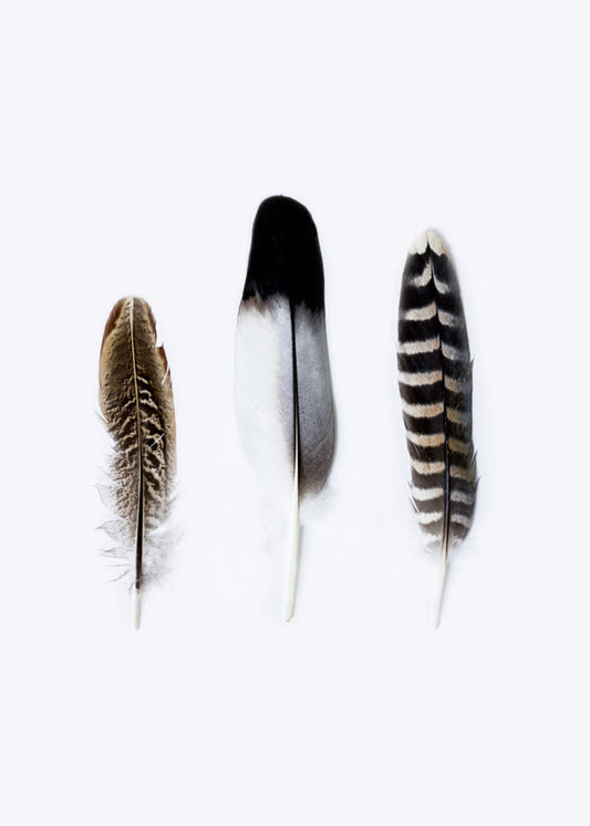 Spirit III 2