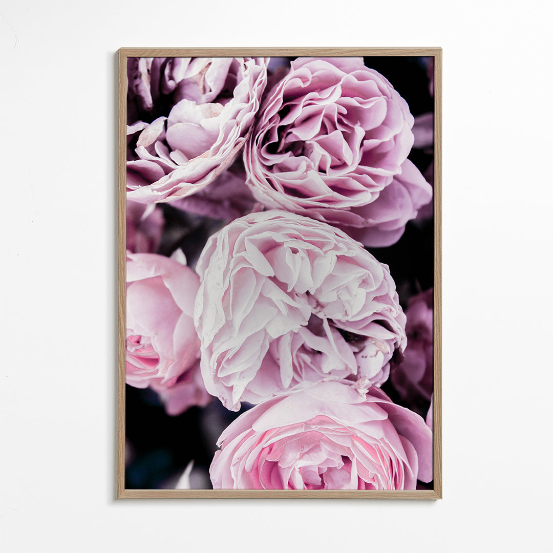 Pink Flowers II 2