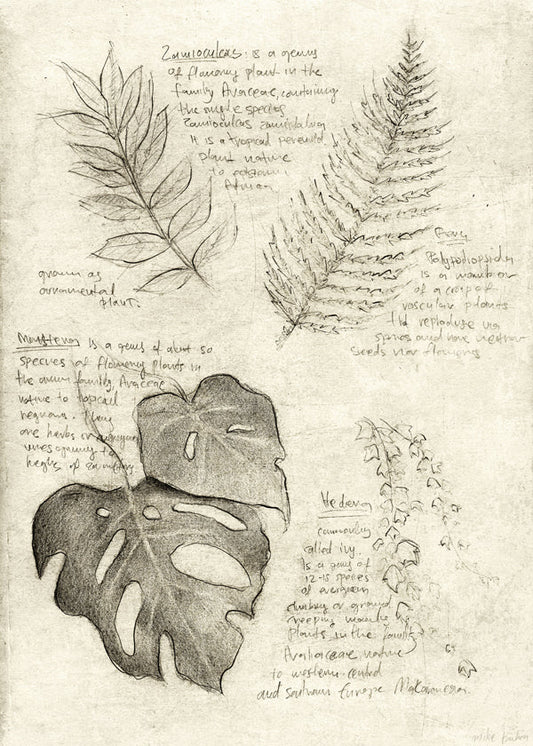 Plants