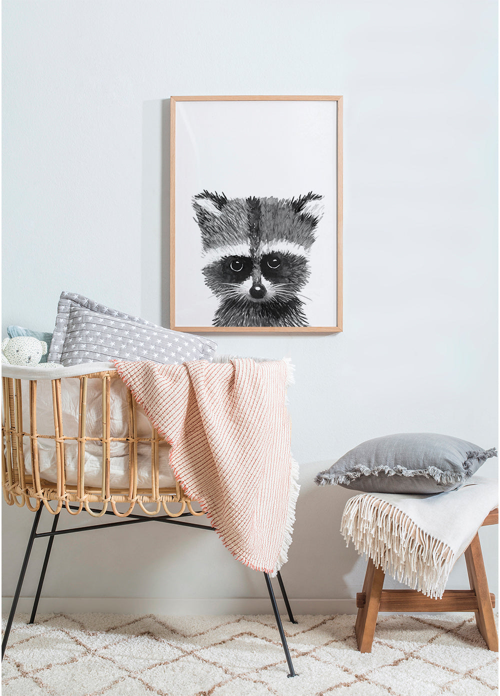 Baby racoon