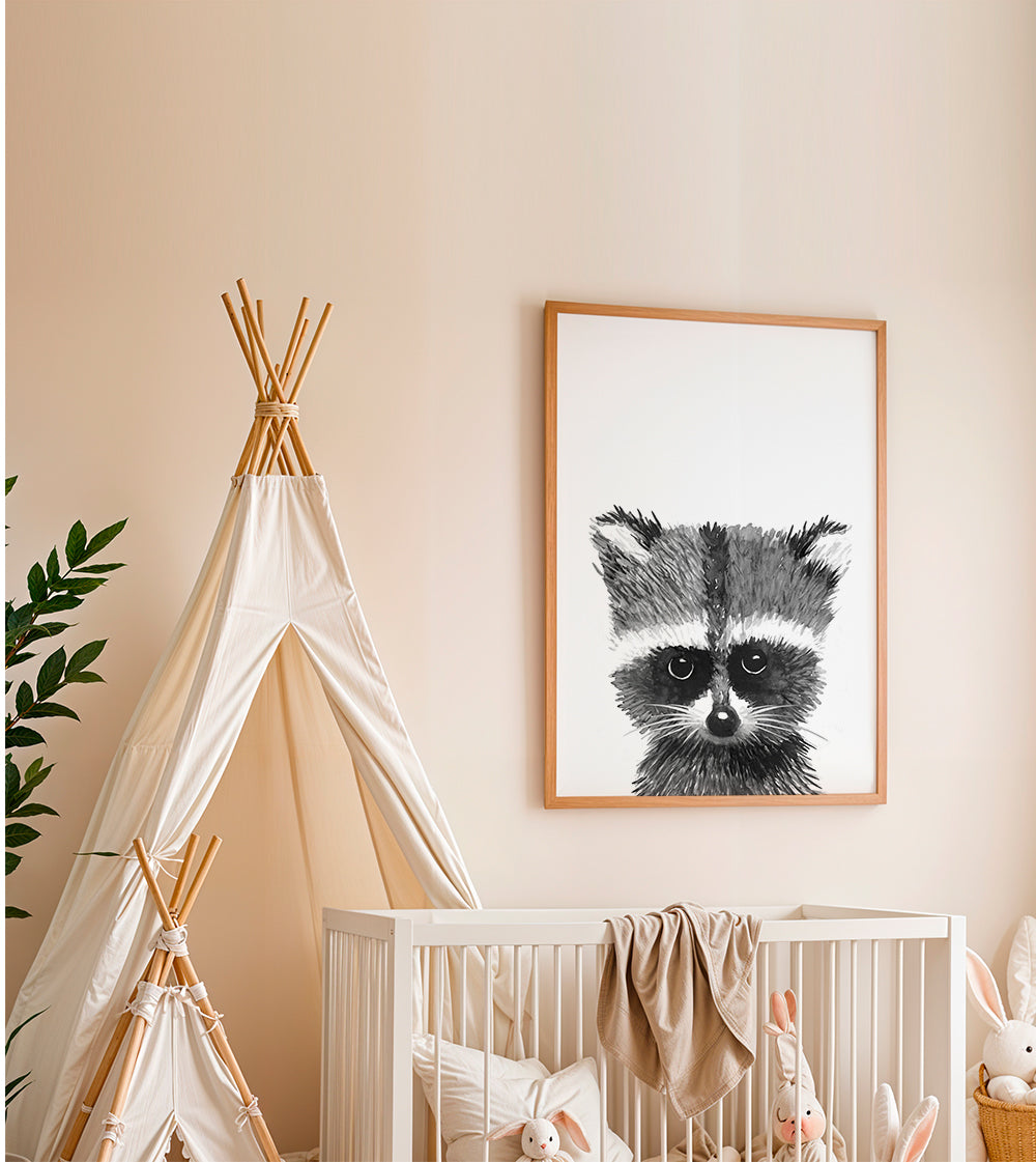 Baby racoon