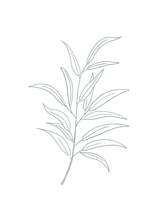 Botanicals 11