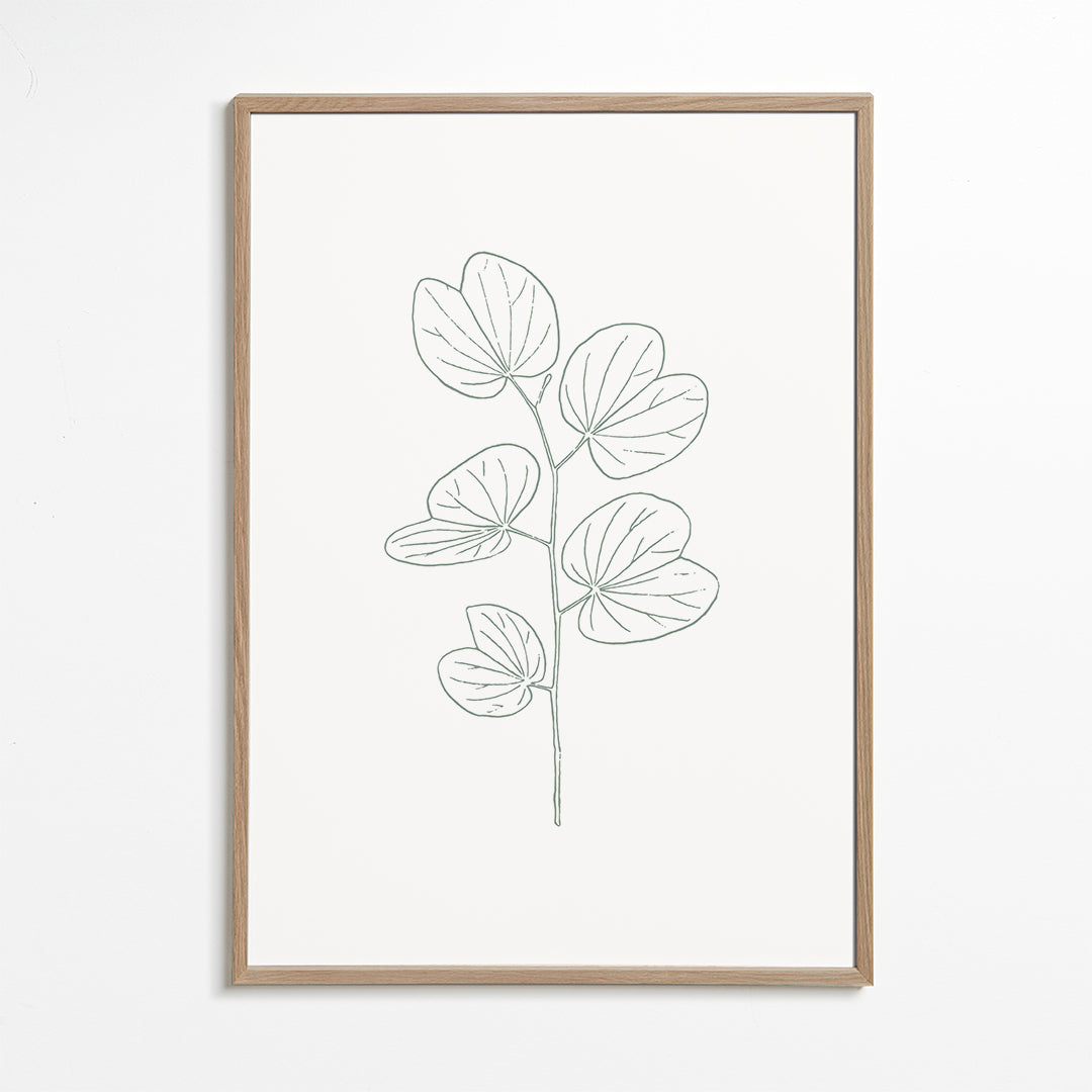Botanicals 15