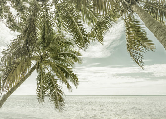 FLORIDA Vintage Oceanview