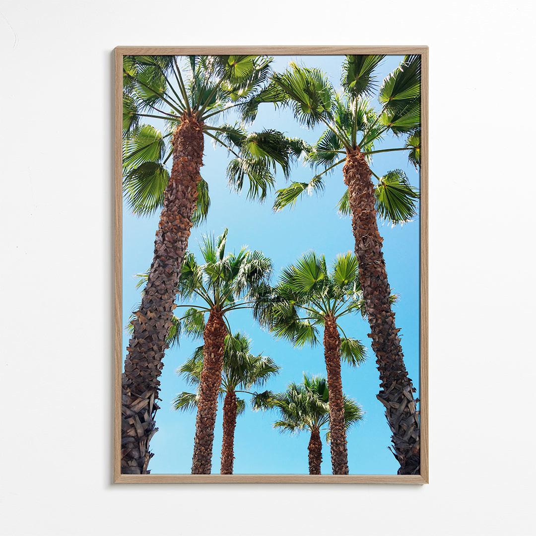 Venice Beach