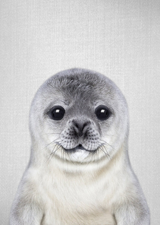 Baby Seal
