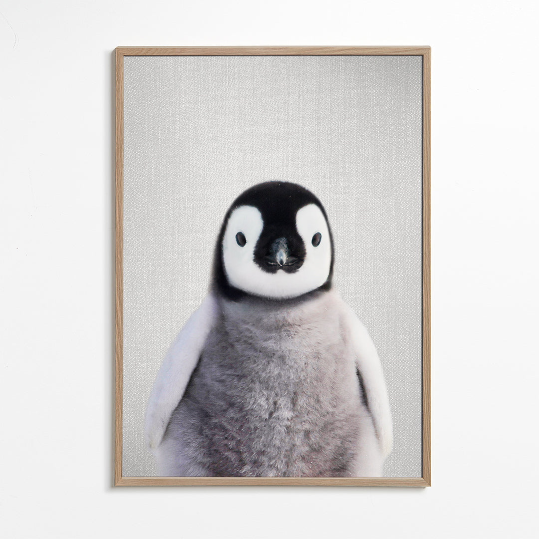 Baby Penguin
