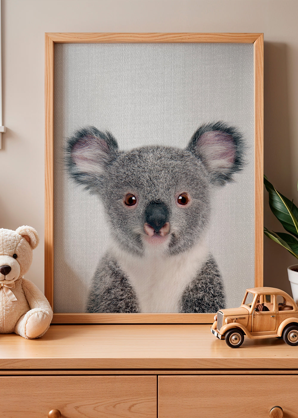 Baby Koala
