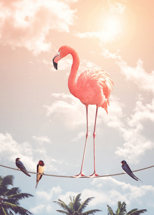 Flamingo & Friends