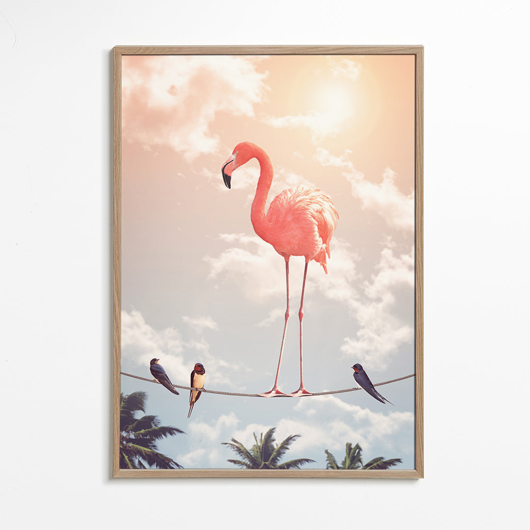Flamingo & Friends