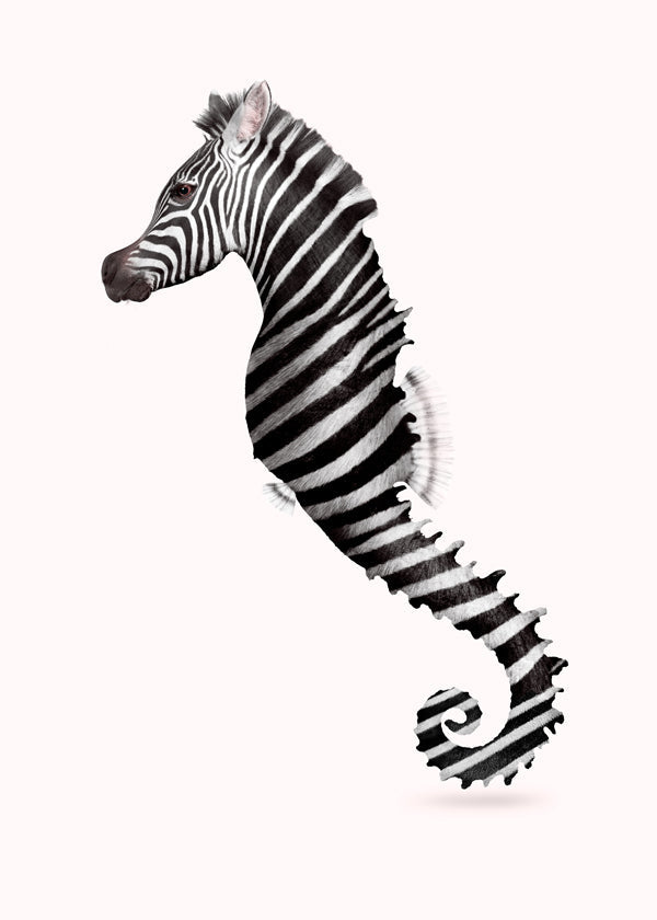 Zeahorse