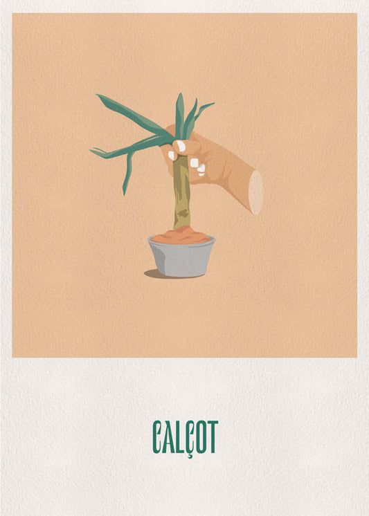 Calçot