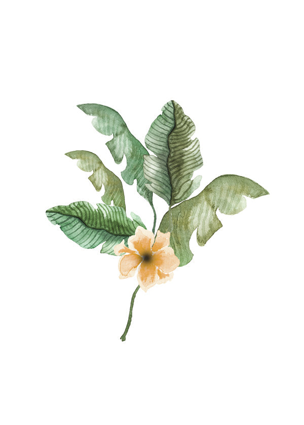 Tropical Flower Bouquet