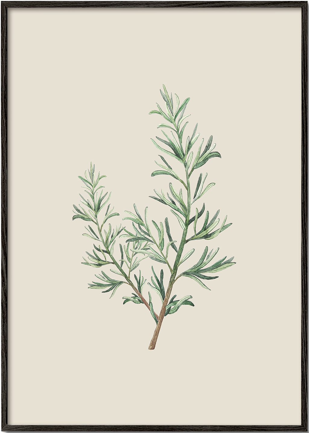Rosemary Branch Beige