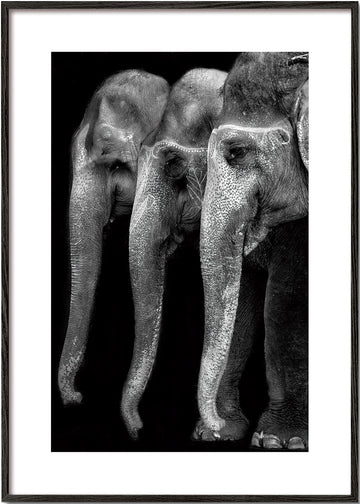 Natures great masterpiece an elephant the only harmless great thing - Yvette Depaepe